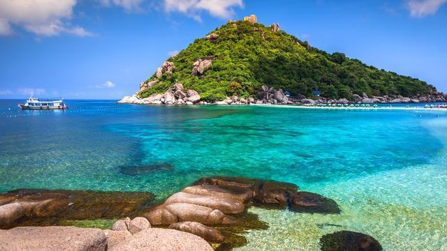 黄河流域水鸟及栖息地同步调查成果在京发布