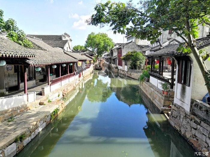 寻找迷路的松鼠